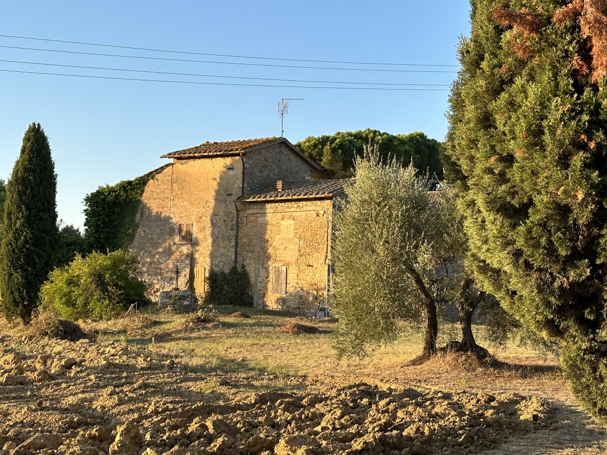 Day 8: “You are… actor?”