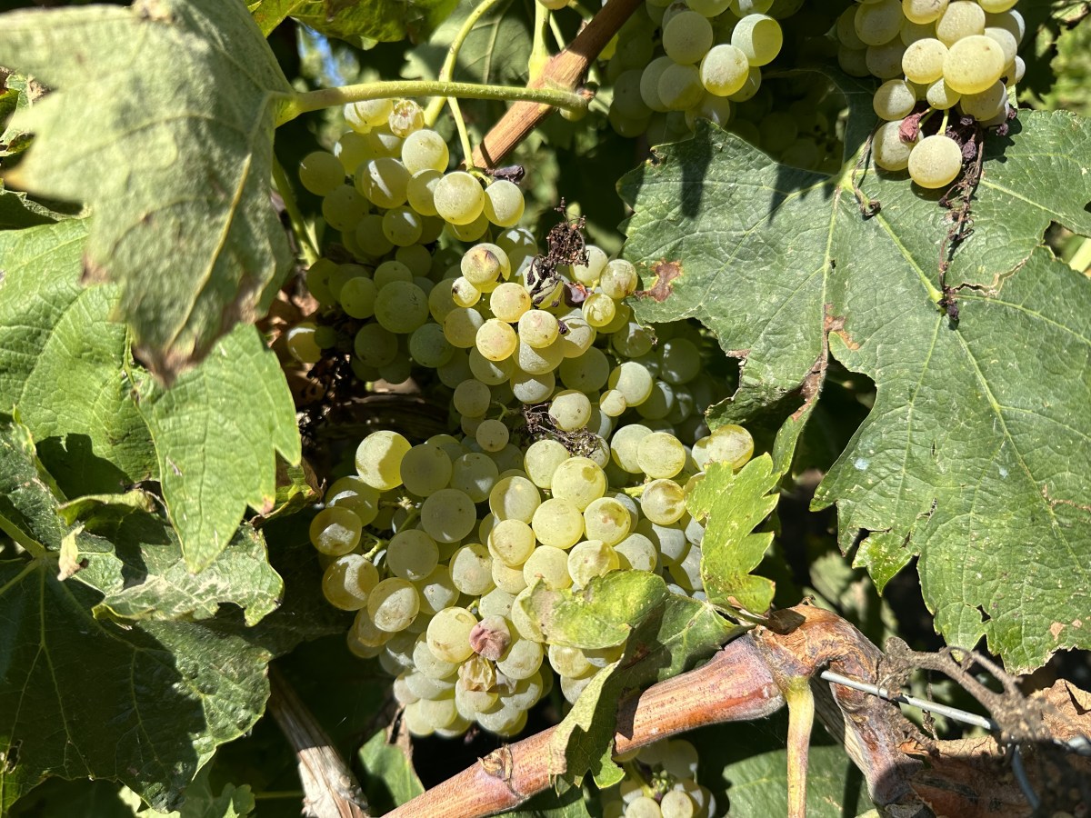 Day 13: I did it my way