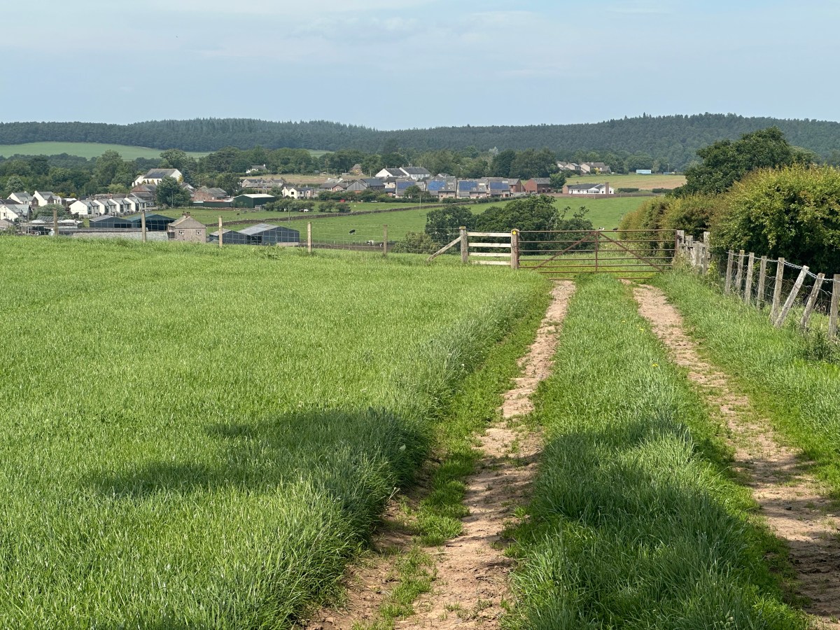 Day 18: The wind at my back…